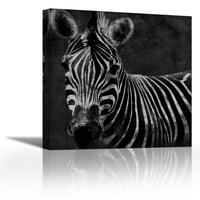 Zebra Black and White - Съвременното изящно изкуство Giclee on Canvas Gallery Wrap - Wall D? Cor - Art Bainting - Готов за окачване