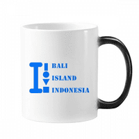 Остров Бали Индонезия Арт Деко Модна халба Промяна на цветовата чаша морфиране на топлината чувствителна 12oz