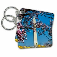 3Drose Washington DC. Паметник на Вашингтон пролетно време с цъфтящи дървета. - Ключови вериги, 2. от, набор от 2
